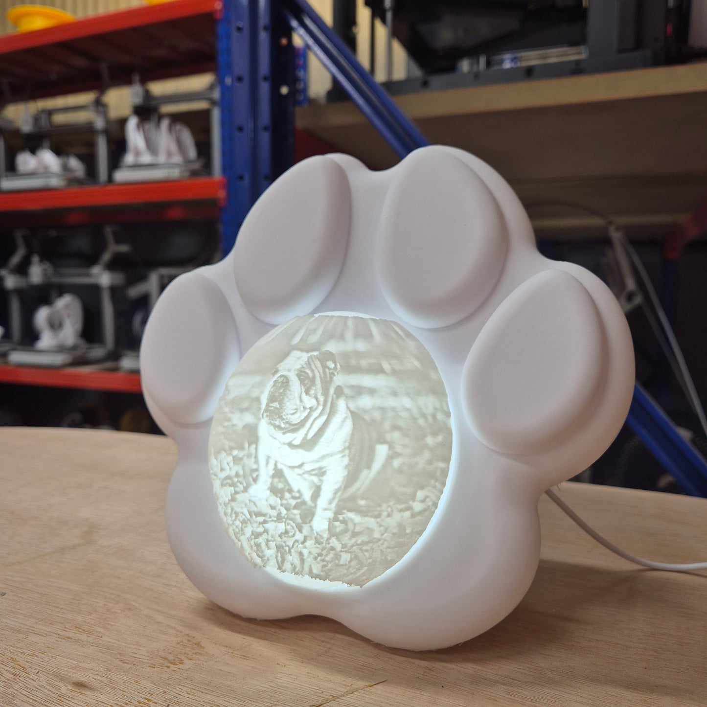 Memorial Paw